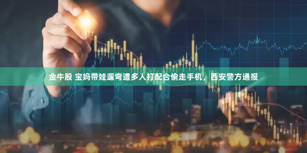 金牛股 宝妈带娃遛弯遭多人打配合偷走手机，西安警方通报